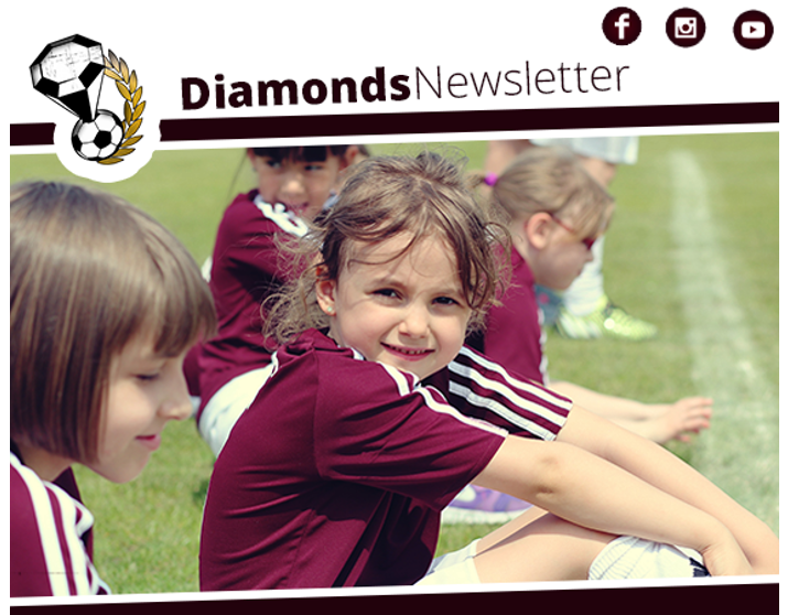 Newsletter Diamonds Academy